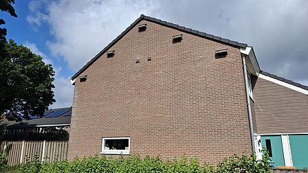 Bakstenen woning met meerdere nestkasten onder de dakrand en openingen in de gevel.