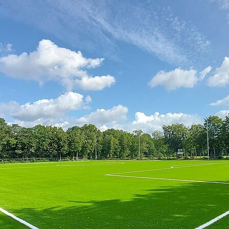Grasmat voetbalveld Sportpark Dijnselburg in Huis ter Heide