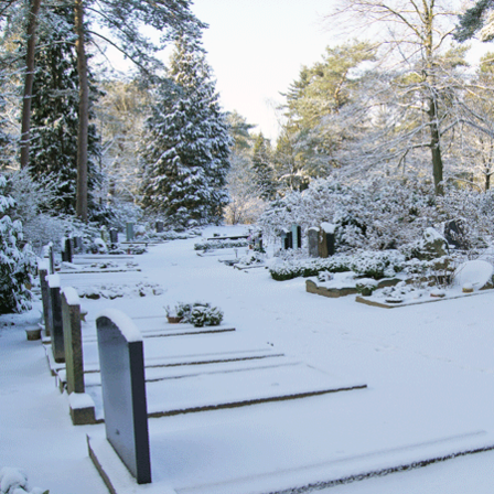 grafstenen in de winter met sneeuw