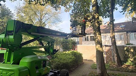 Persoon op een hoogwerker snoeit een boom in Zeist-West.