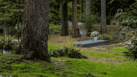 Graven met bloemen in bosrijke omgeving