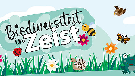Tekening van biodiversiteit in Zeist met bijtjes, lieveheersbeestje en kikker
